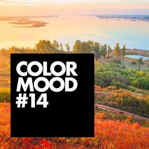 COLOR MOODS vol vloerinspiratie