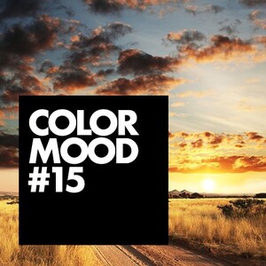 COLOR MOODS vol vloerinspiratie