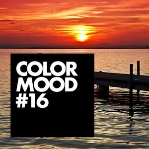 COLOR MOODS vol vloerinspiratie