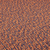 Bold Twist 075