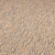 Bold Twist 751