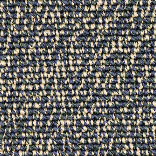Bold Twist 497