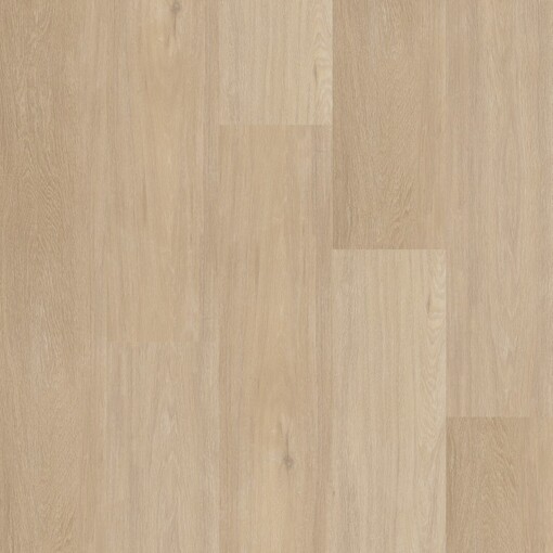 Chevron 12042