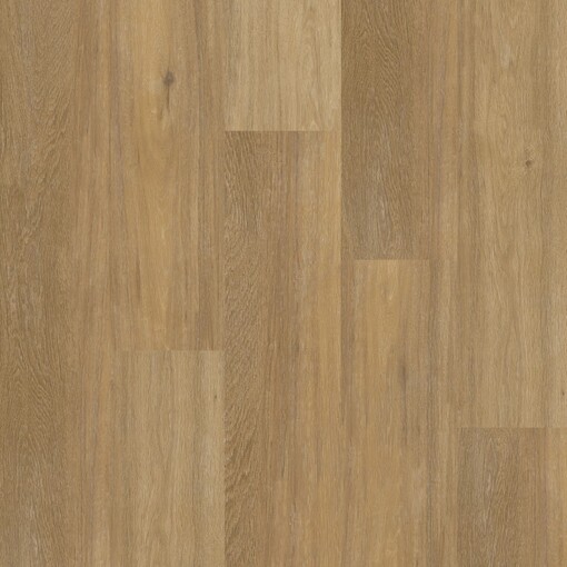 Chevron 12043