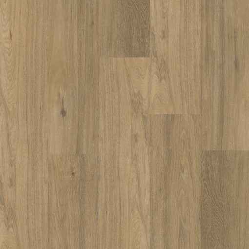 Chevron 12044