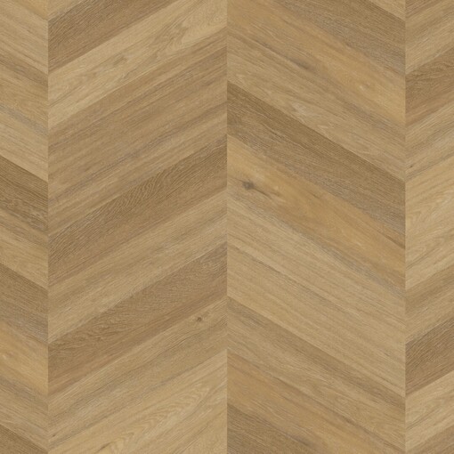 Chevron 6543