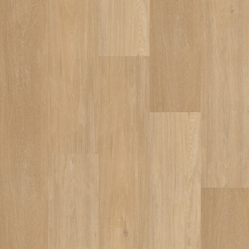 Chevron Click 12041