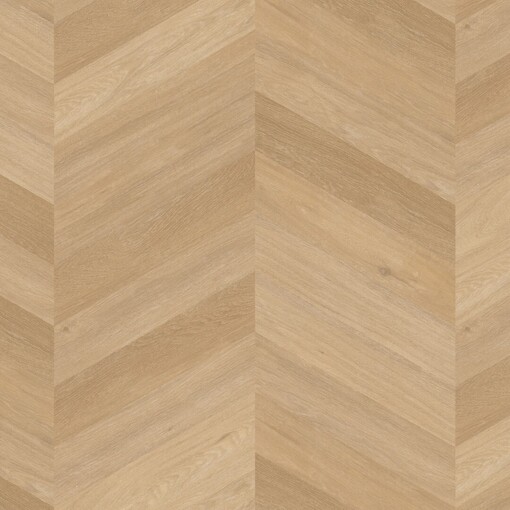 Chevron Click 6541