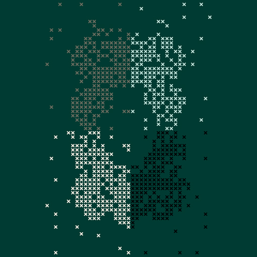 Explain Cross Stitch Organic 1214N