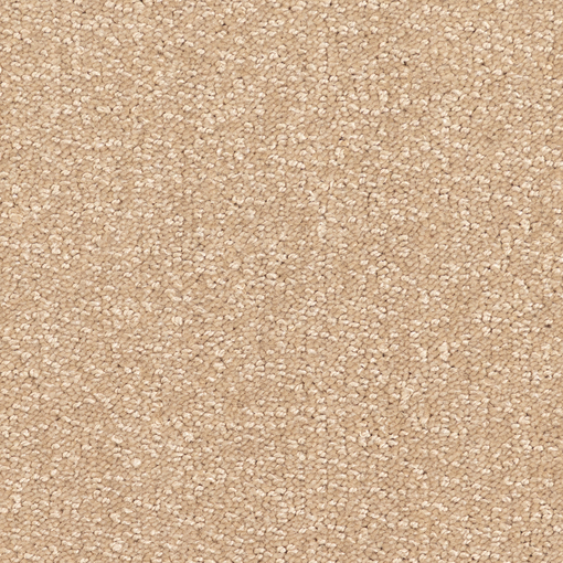 Frisky Velvet 895