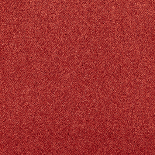 Plain Velvet 101