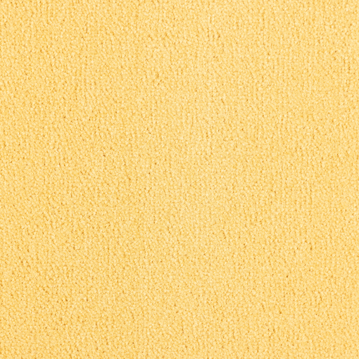Plain Velvet 232