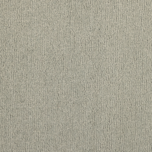 Plain Velvet 462