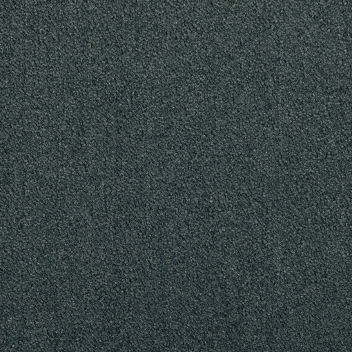 Plain Velvet 496