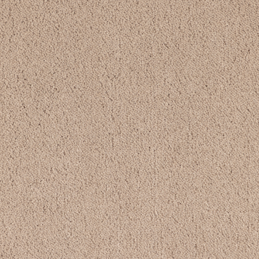 Plain Velvet 830