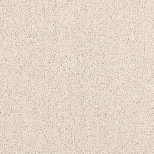 Plain Velvet 844
