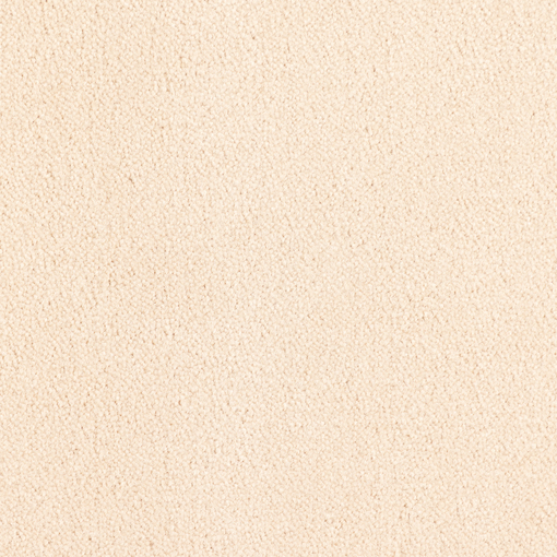 Plain Velvet 851