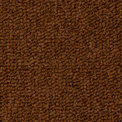 Plana 024