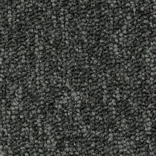 Plana 527