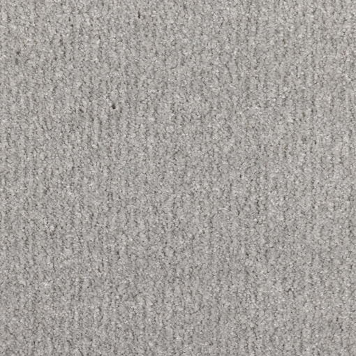 Soft Sense 503