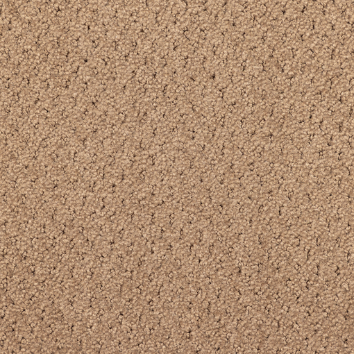 Structured Mesh 781