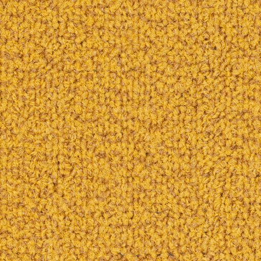 Terum 221