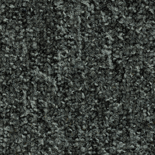 Terum 501