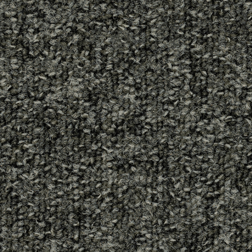 Terum 502