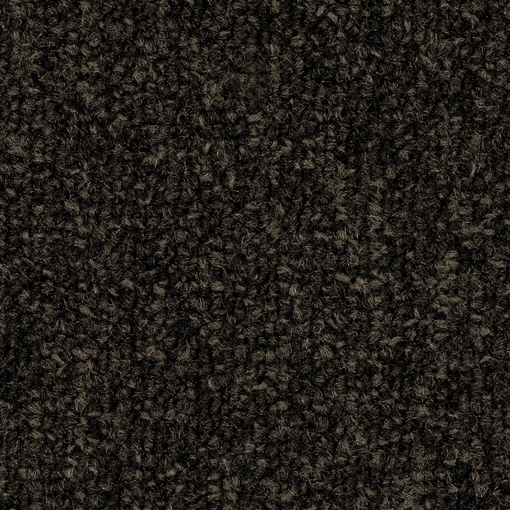 Terum 581