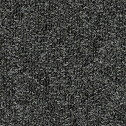 Terum 591