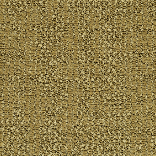 Texture Loop 413