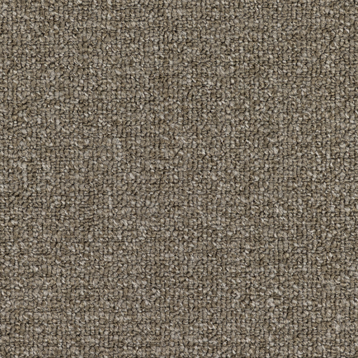 Topic Loop 455