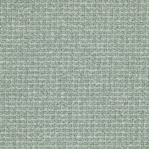 Vivid Loop 464