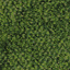 Neba 488