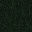 Plana 425