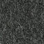 Plana 527