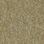 Plana 823