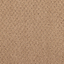 Structured Mesh 781