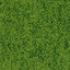 Terum 440