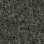 Terum 502