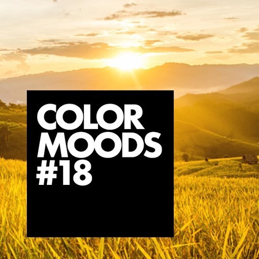 COLOR MOODS vol vloerinspiratie